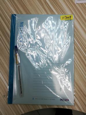 NOTE BK.B5 100S+1PEN